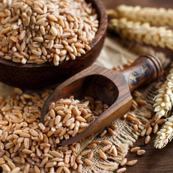 A Basic Guide to Whole Grains