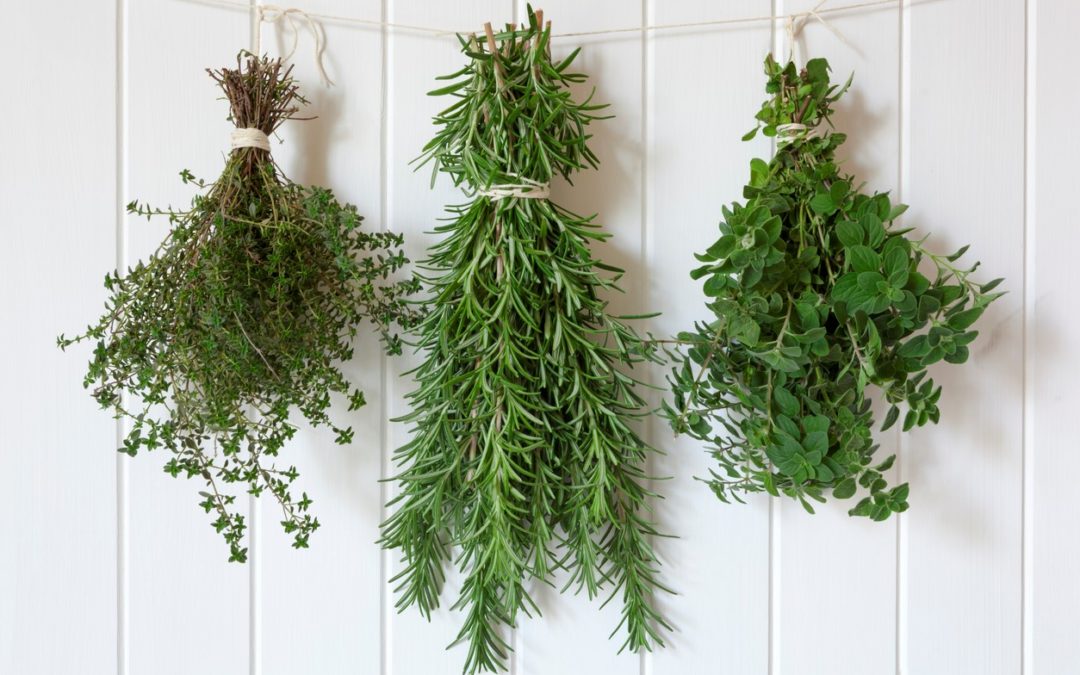 Did you Know that Herbs can be Brain-Boosters?