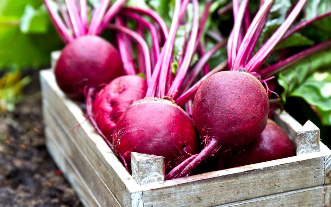 Beets – A Super “Super Food”!