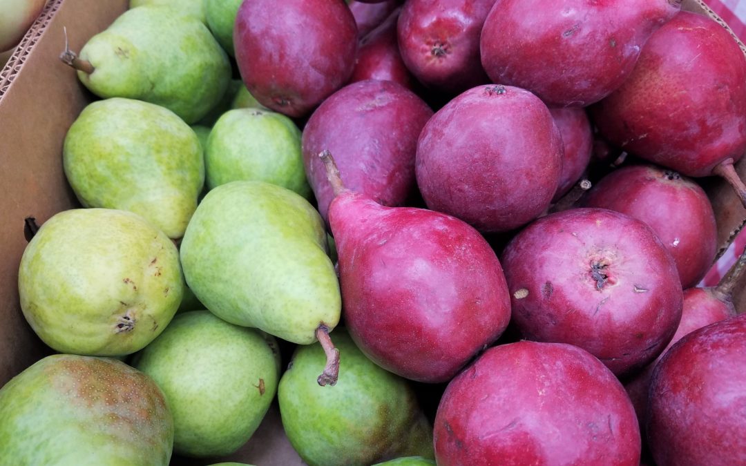 Pears: The Other Fall Fruit