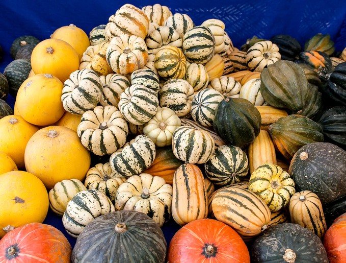 Wonderful Winter Squash