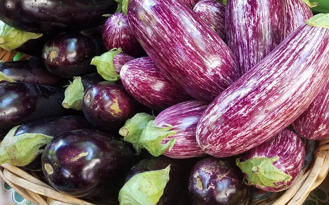 Seasonal Ingredient: Eggplant