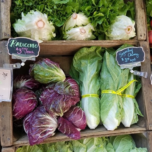 Storage Tips for Farmers Market Produce