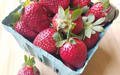 It’s Summer Strawberry Season!
