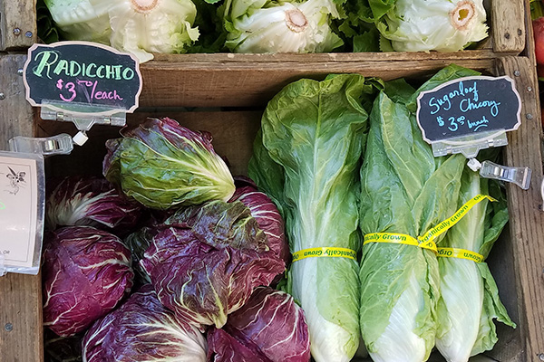 Lettuce Greens - Farmers Market