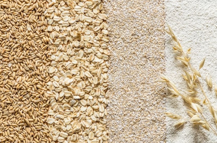 varieties of oats