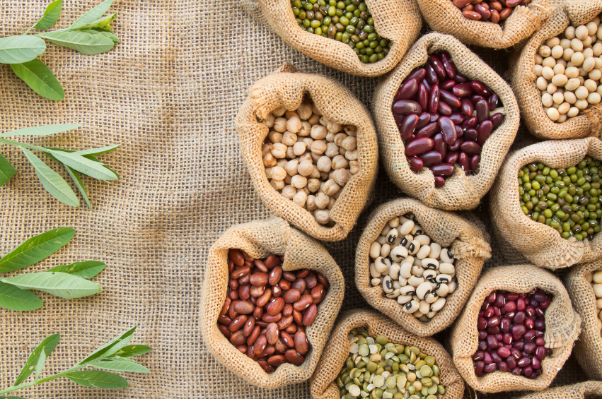 Use Plant Proteins to Jazz Up Your Dinner Planning